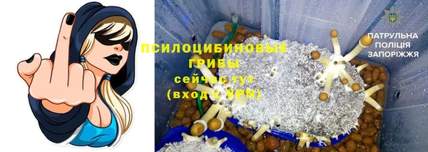 скорость Алексеевка