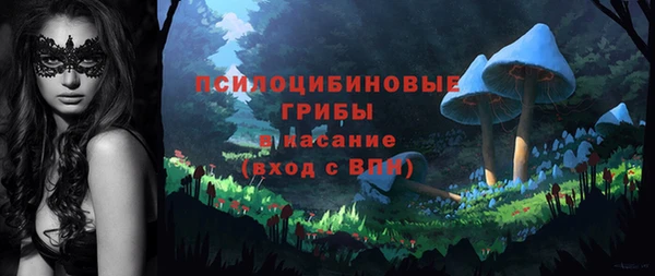 ECSTASY Алексин