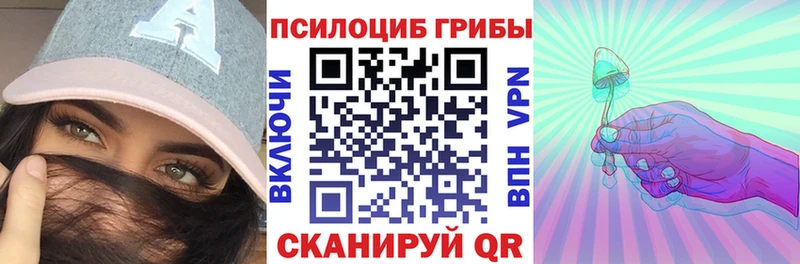 Галлюциногенные грибы Psilocybe kraken как зайти Шуя